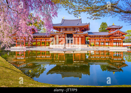 Uji, Kyoto, Giappone a Byodo-in tempio durante la primavera. Foto Stock