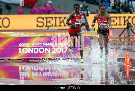 Londra, Regno Unito. 09Aug, 2017. Gli atleti competere durante la donna 3,000m Siepi riscalda il giorno 6 presso la IAAF Campionati del Mondo 2017 a Londra, in Gran Bretagna il 9 agosto, 2017. Credito: Xinhua/Alamy Live News Foto Stock