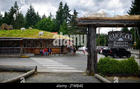 Capre sul tetto e il cuculo frattoria pizzeria presso il famoso paese vecchio mercato di Coombs, Isola di Vancouver, BC, Canada 2017 Foto Stock