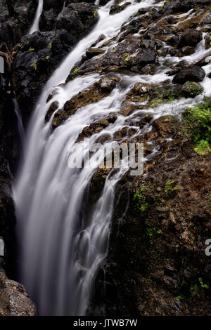 Bella cascata paesaggio naturale in inglese River Falls Parco Provinciale. Errington, Isola di Vancouver, BC, Canada Foto Stock