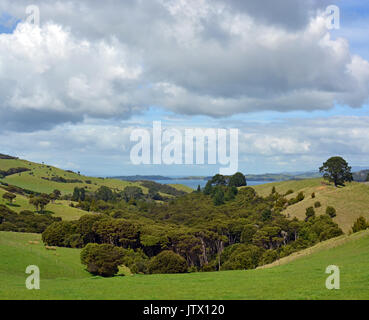 Verticale vista panoramica di macchia nativa e tempestoso cielo a Stony pastella sull isola di Waiheke, Auckland, Nuova Zelanda Foto Stock