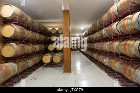 Le righe con i barili di legno in cantina factory Foto Stock