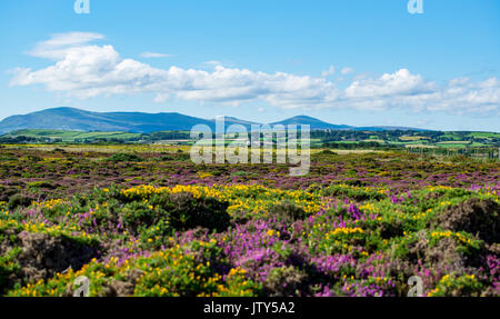 Vista verso la montagna Snaefell dal punto di Ayre Foto Stock