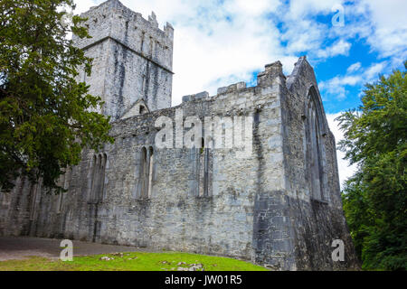 Abbazia Muckross costruito nel 1448 come un convento di frati francescani Foto Stock