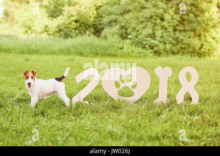 Colpo di un simpatico filo fox terrier cane vicino 2018 Anno nuovo numeri all'aperto nel parco Prato verde natura celebrazione inizi concetto. Foto Stock