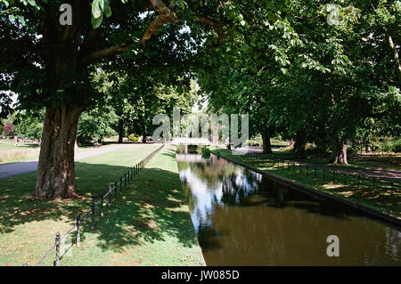 Alberi in Clissold Park, Stoke Newington, Hackney, Londra UK Foto Stock