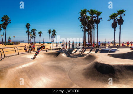 Skatepark alla famosa spiaggia di Venezia. La scheda di Skate Park con le sue concrete di rampe e di palme è famoso e molto popolare in California. Foto Stock