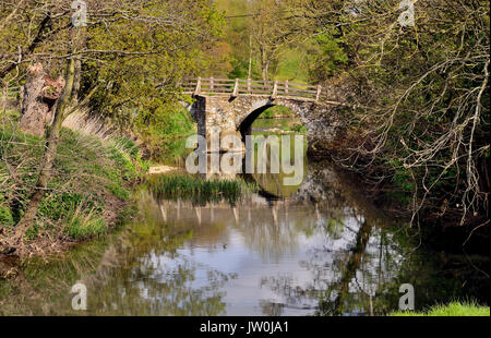 Il packhorse ponte sopra il fiume Frome a Tellisford copre la contea di confine tra Wiltshire e Somerset. (Visto da Wiltshire banca). Foto Stock