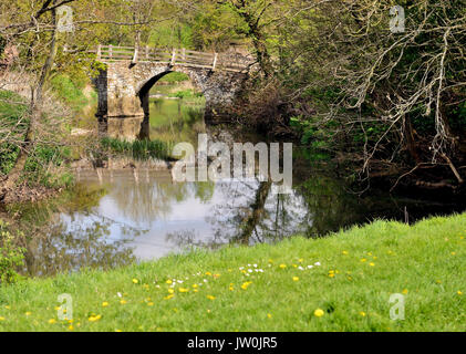 Il packhorse ponte sopra il fiume Frome a Tellisford copre la contea di confine tra Wiltshire e Somerset. (Visto da Wiltshire banca). Foto Stock