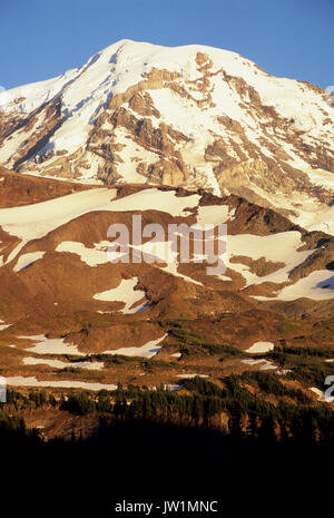 Mt Rainier dal parco di spruzzo, Mt Rainier National Park, Washington Foto Stock