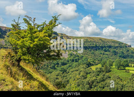 Il calcare Llangattock scarpata oltre Crickhowell nel Parco Nazionale di Brecon Beacons Foto Stock