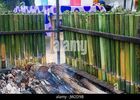 La cottura lemang, un tipo di riso di bambù. Lemang è fatto di riso glutinoso che viene cucinato con latte di cocco in bambù incavate. Si è trovato comunemente in Foto Stock