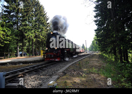 99 7238-1 lasciando Drei Annen Hohne con la 09:42 Wernigerode - Brocken servizio. Harzer Schmalspurbahnen. Foto Stock