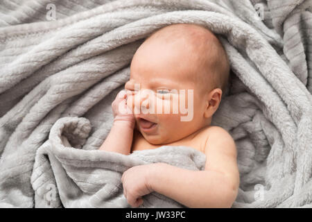 Ritratto di little baby boy (0-1 mesi) avvolto in una coperta Foto Stock