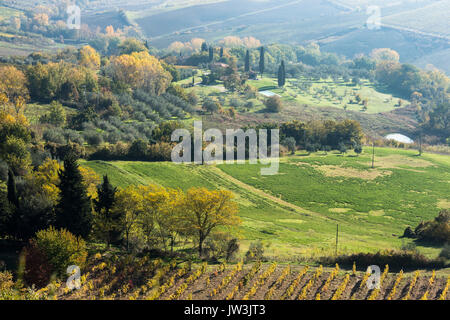 Un tipico paesaggio toscano con vasto verde, giallo e rosso i campi di vigna, filari di olivi, piccoli edifici, Cypress vicoli e colori d'autunno Foto Stock