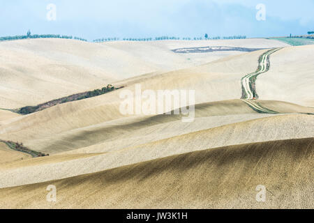 Una torsione lungo strada rurale è leader attraverso infinite grigio Toscana campi e solitari cipressi Foto Stock
