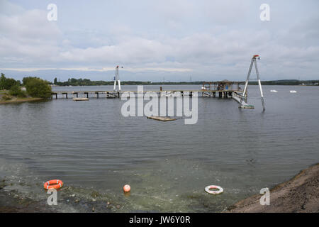 Cannock, Staffordshire, Regno Unito. 11 agosto 2017. blu/verde Alghe ha colpito i livelli problematici a chasewater country park con cartelli di avvertimento contro entrata in acqua credito: Daniel james armishaw/alamy live news Foto Stock