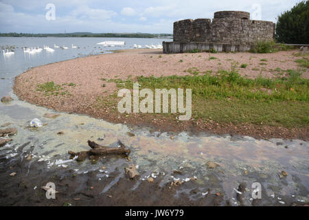 Cannock, Staffordshire, Regno Unito. 11 agosto 2017. blu/verde Alghe ha colpito i livelli problematici a chasewater country park con cartelli di avvertimento contro entrata in acqua credito: Daniel james armishaw/alamy live news Foto Stock