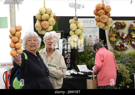 Shropshire, Regno Unito. 11 Agosto, 2017. Ai visitatori la visione presenta all'annuale Shrewsbury Flower Show in Shropshire. I due giorni della manifestazione è aperto oggi e Sabato. Credito: David Bagnall/Alamy Live News Foto Stock