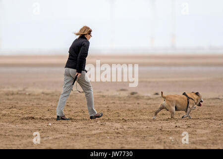 Southport, Merseyside, 12 agosto 2017. Regno Unito Meteo. Un freddo e grigio per cominciare la giornata in Inghilterra del nord ovest non scoraggiare il cane walkers di esercitare i loro amati animali domestici sulla spiaggia a Southport nel Merseyside. Credito: Cernan Elias/Alamy Live News Foto Stock