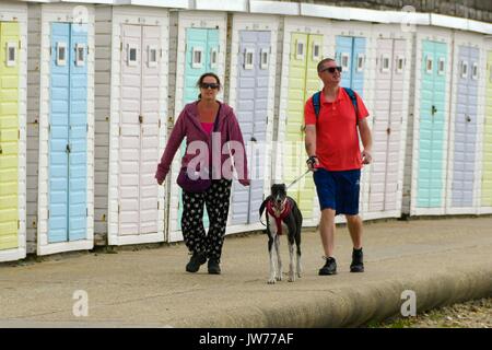 Lyme Regis, Dorset, Regno Unito. 12 Ago, 2017. Regno Unito Meteo. Un giovane a piedi il loro cane lungo il lungomare sotto debole sole nebuloso alla stazione balneare di Lyme Regis nel Dorset. Credito: Graham Hunt/Alamy Live News Foto Stock