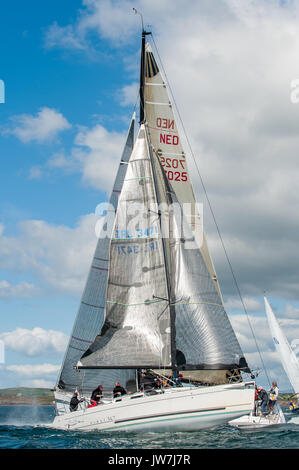 Barche a vela " velluto nero' e 'Eleuthera' collidono durante una gara come parte di Schull vitelli settimana, Schull, Co. Cork, Irlanda. Foto Stock