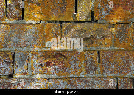 Mortaio mancanti da un vecchio muro di mattoni con danni di muratura. Foto Stock