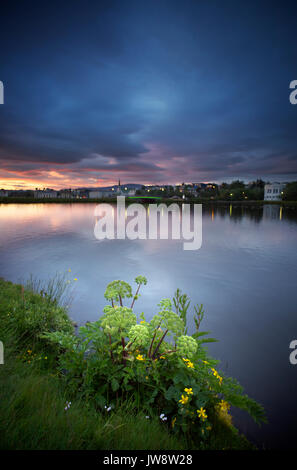 Reykjavik rown giù. Reykjavik è la capitale d'Islanda Foto Stock