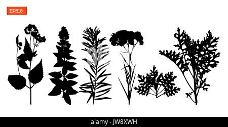 Impostare silhouette nera di fiori e foglie illustrazione vettoriale Illustrazione Vettoriale