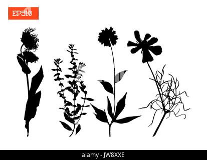 Impostare silhouette nera di fiori e foglie illustrazione vettoriale Illustrazione Vettoriale