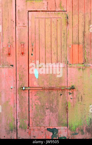 Un vecchio meteo usurato e battuto planked in legno porta con il bullone attraverso la parte anteriore. shabby chic design per interni e lo sfaldamento di pelatura di colore rosso o rosa vernice. Foto Stock