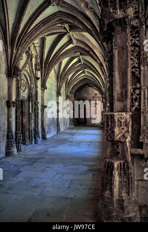 L'Europa, Francia, Occitanie, Lot, città di Cahors, Sint-Etienne cattedrale, il chiostro Foto Stock