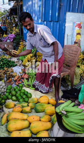 Colombo, Sri Lanka - Set 5, 2015. Un venditore al mercato locale in Colombo, Sri Lanka. Colombo è la capitale commerciale e la più grande città dello Sri Lanka, wit Foto Stock