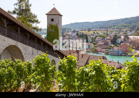 Vista sulla città vecchia medievale di Sciaffusa e fortezza Munot, Svizzera. Foto Stock