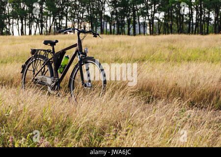 La bicicletta si erge tra l'erba alta sul prato. Entro l'estate, l'erba è giallo Foto Stock