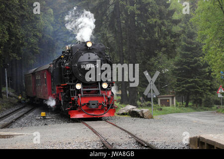 99 7234-0 arrivando a Schierke con la 10:25 Wernigerode - Brocken servizio. Harzer Schmalspurbahnen. Foto Stock