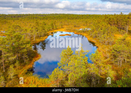 Il bel lago in terra di palude. Viru torbiere a Lahemaa national park Foto Stock