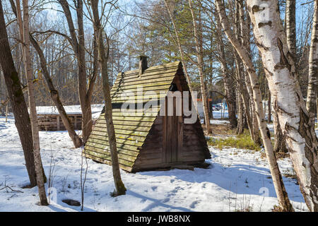 Vecchia baita in legno (Wc) nel villaggio Foto Stock