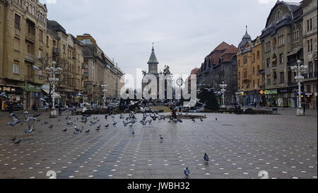 Timisoara, Romania - 3 Febbraio 2017: Piazza Victoriei con la cattedrale in background Foto Stock