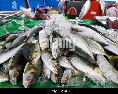 Khao Lak, Tailandia - 10 Maggio 2017: vari tipi di pesci in vendita presso il mercato locale Foto Stock