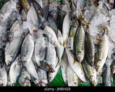 Khao Lak, Tailandia - 10 Maggio 2017: vari tipi di pesci in vendita presso il mercato locale Foto Stock