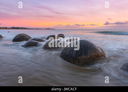 Moeraki boulders, all'alba, formazione geologica, Koekohe Beach, Moeraki, East Coast, Otago, Isola del Sud, Nuova Zelanda Foto Stock