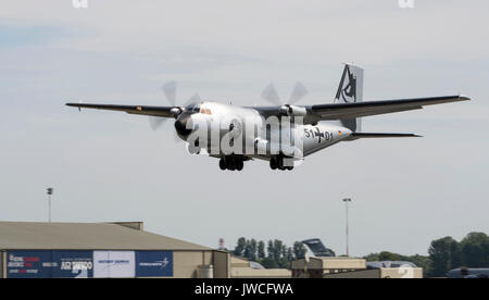 Transall C-160D, Aeronautica tedesca, nella livrea 'Camoscio d'Argento' che cela il 60th° anniversario della LTG 61 Foto Stock