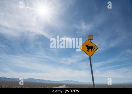 Energia solare segno di bestiame su una autostrada nel deserto del Nevada. Foto Stock
