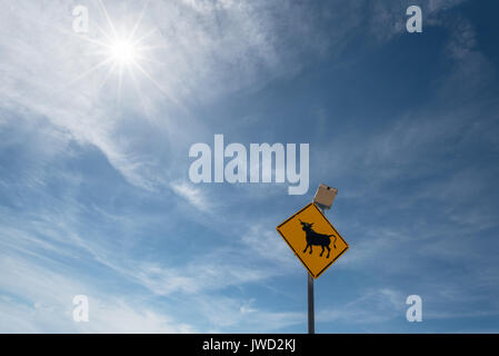 Energia solare segno di bestiame su una autostrada nel deserto del Nevada. Foto Stock