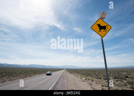 Energia solare segno di bestiame su una autostrada nel deserto del Nevada. Foto Stock