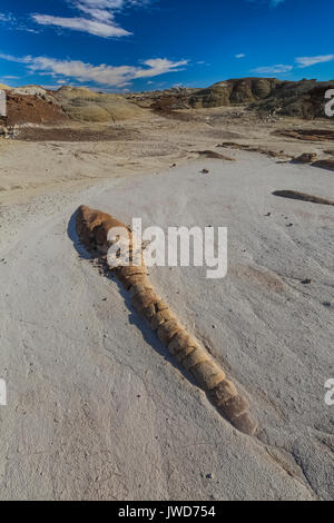 Un sandworm-come formazione (vedere il romanzo Dune) erodendo fuori del ashy argilla in Bisti/De-Na-Zin Deserto vicino a Farmington, Nuovo Messico, STATI UNITI D'AMERICA Foto Stock