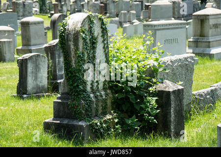 Righe di ben tenute grave pietre in Rochester New York Foto Stock