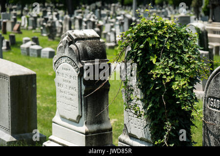 Righe di ben tenute grave pietre in Rochester New York Foto Stock