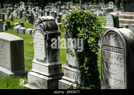 Righe di ben tenute grave pietre in Rochester New York Foto Stock